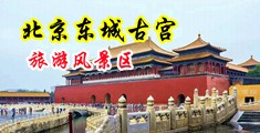 又长又大的鸡巴插入小穴好爽视频中国北京-东城古宫旅游风景区